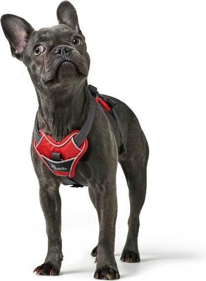 Produktbild Hunter Geschirr Divo (XS, Hund, Allgemein)