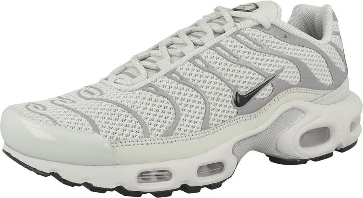 Image du produit Nike Air Max Plus (41)