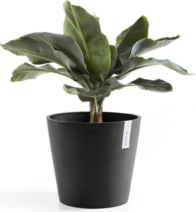 Produktbild Ecopots Amsterdam + Wasserbehälter (30 cm)