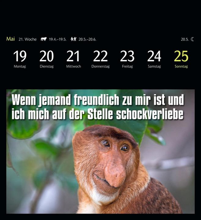 Immagine prodotto Harenberg Calendario cartoline animali 2025 - 53 cartoline animali divertenti (16 x 17,5 cm, Nessuna rilegatura, Inglese, Tedesco)