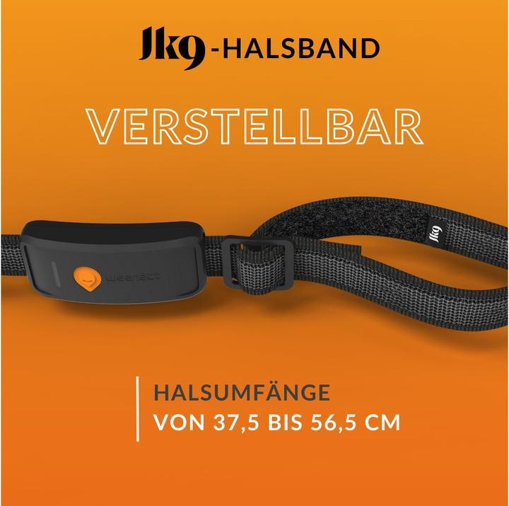 Produktbild Weenect GPS-Tracker für Hunde (XL, Hund, Hundesport)