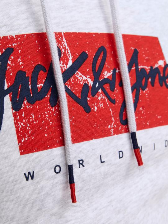 Immagine prodotto Jack & Jones Jjtiley Sweat Hood Ln (L)