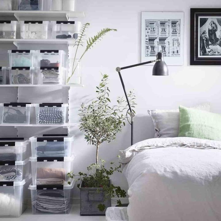 Produktbild Orthex Archivbox (40 x 30 x 11 cm, 8 l)