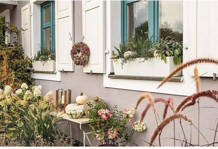 Actual product image Lechuza Balconera Color 80 (79 cm)