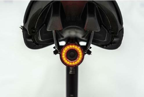 Actual product image Toad toad eye