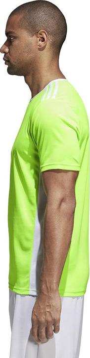 Image du produit adidas Maillot de football Entrada 18 enfants (128)