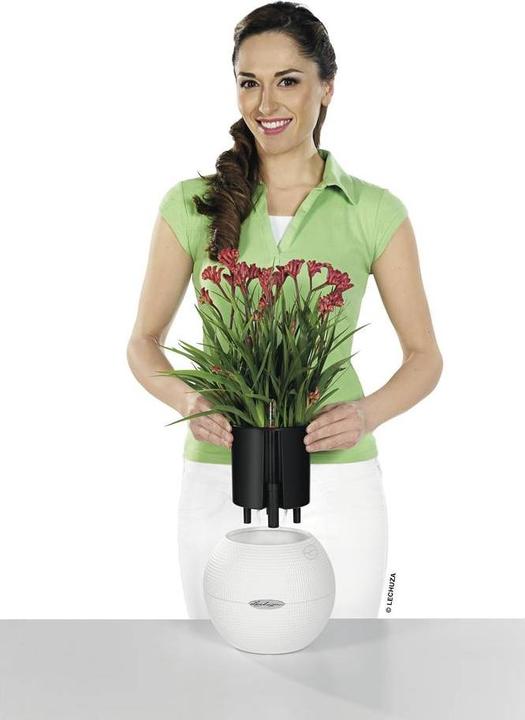 Actual product image Lechuza Puro Colour 20 (20 cm)
