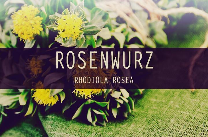 Produktbild Zimmerli Adaptogene Rhodiola Kapseln (BIO) 50 Kapseln (1 Stück, Kapseln, 25 g)