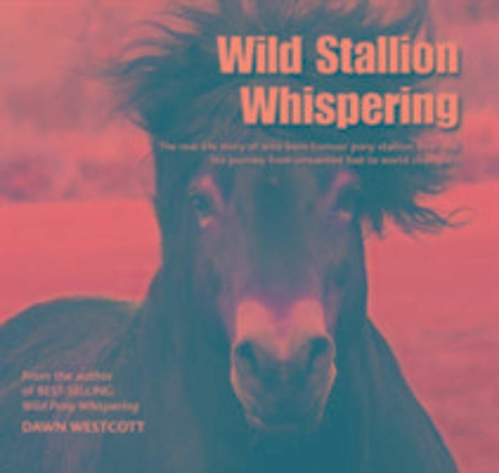 Produktbild Wild Stallion Whispering (Englisch, Dawn Westcott, 2016)