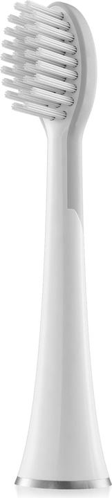 Whitewash Standard SW-2011 set of 2 for SW-2000 (2 x)