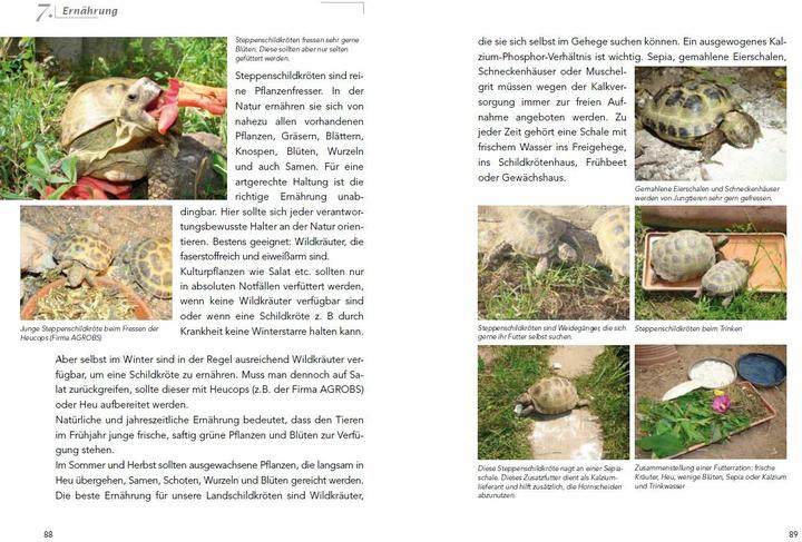 Produktbild Die Haltung der Steppenschildkröten Agrionemys horsfieldii (Deutsch, Ude Fass, 2013)