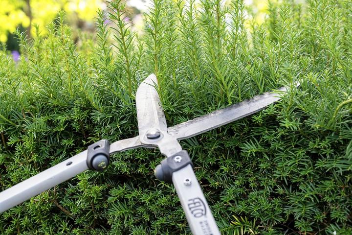 Produktbild Felco 250-57 (Handheckenschere)