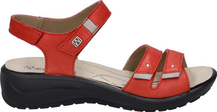 Actual product image Westland 25902-644 (42)