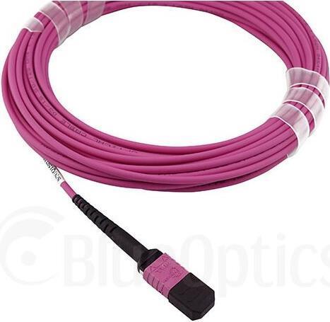 Immagine prodotto BlueOptics Cavo patch Lenovo AV2A compatibile MPO-MPO Multimode OM4 30 metri (U/UTP, CAT6, 30 m)
