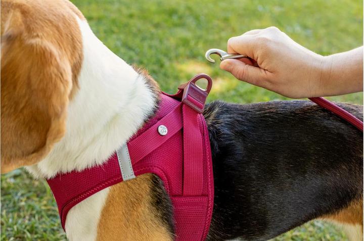Produktbild Curli Geschirr Vest Air-Mesh 2XS, Ruby (XXS, Hund, Allgemein)