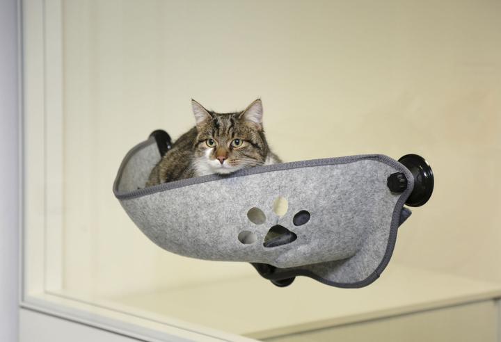 Produktbild Oster Sunny Seat (Katze)