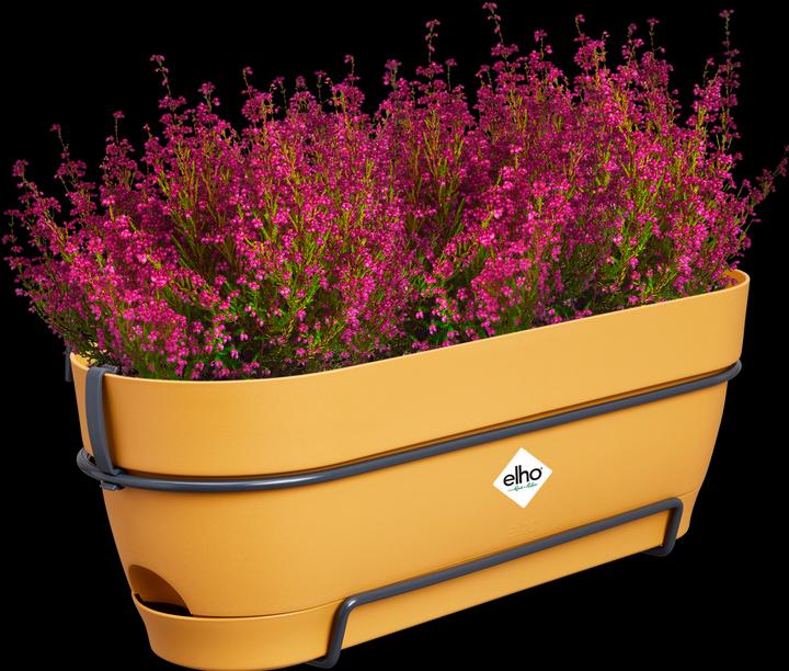 Immagine prodotto Elho Vibia Campana Balcony Box Allin1 (26 cm)