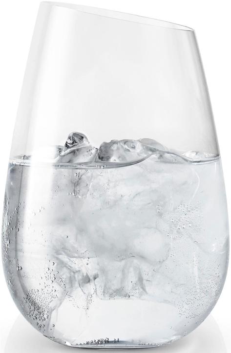 Actual product image Eva Solo Glass (0.48 l, 1 x)