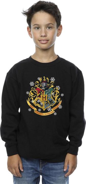 Actual product image Boys Christmas Crest Sweatshirt (140, 146)