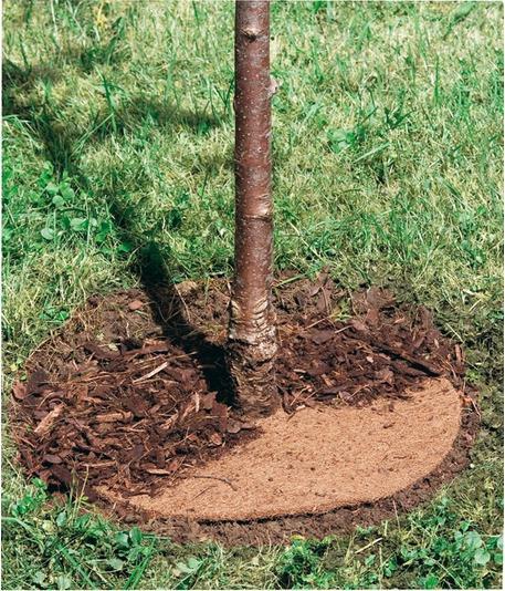 Immagine prodotto Windhager Disco pacciamante Cocodisc