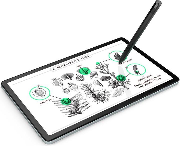 Produktbild Lenovo Tab M10 Plus (3. Gen) (nur WLAN, 10.61", 64 GB, Storm Grey)