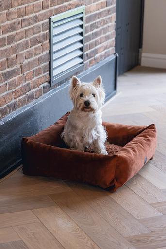 Produktbild Designed by Lotte Yndis (Hund)