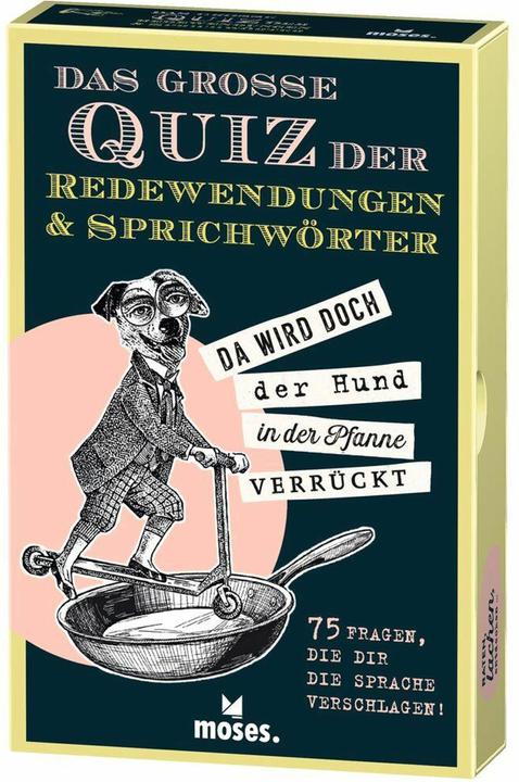 Il grande quiz dei modi di dire e dei proverbi (Tedesco)