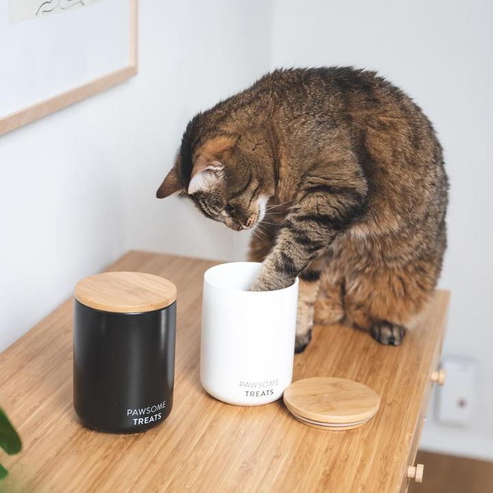 Actual product image LucyBalu SNACK BAR Katzenfutter- & Leckerlidose