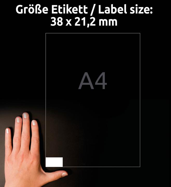 Immagine prodotto Avery Universale