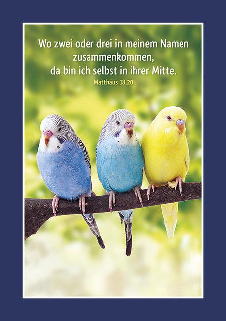 Immagine prodotto Kleine Quelle - Adattamento animali, adesivi