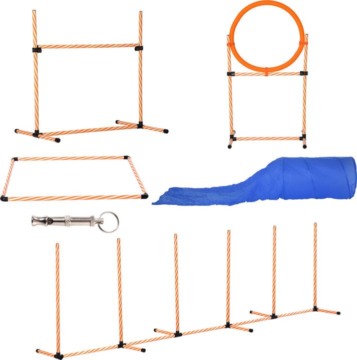 Actual product image PawHut Set (Agility)