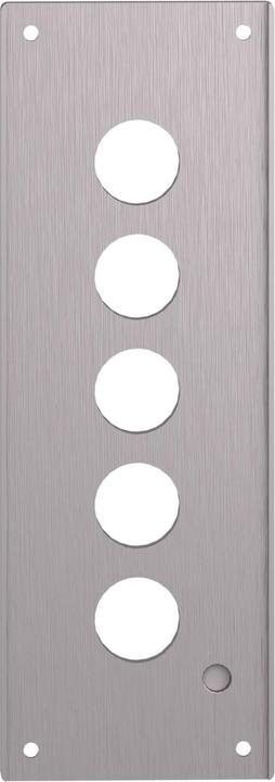 Image du produit Schneider Electric Pushbutton Flush Plate 22mm Xap +Options