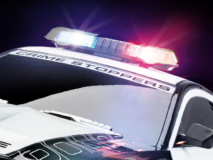 Actual product image Revell Ford Mustang Police