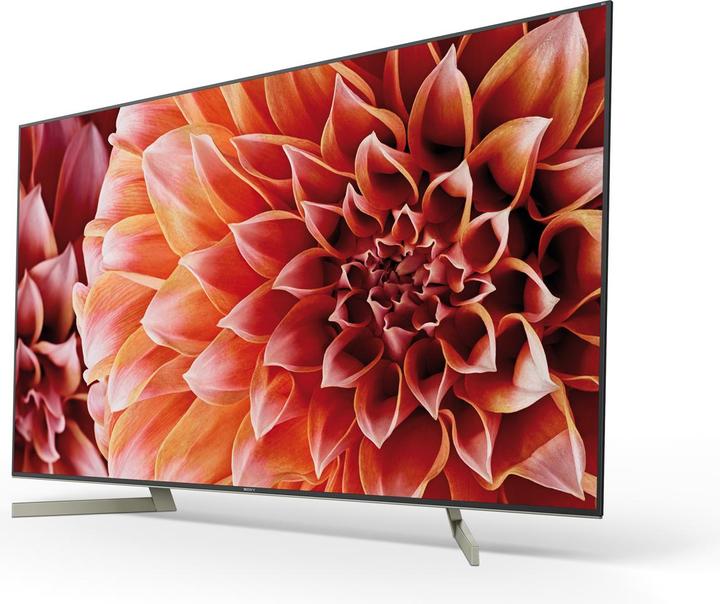 Image du produit Sony Kd-65xf9005 (65", LCD, 4K, 2018)