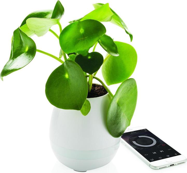 Actual product image XD Design Flowerpot Speaker (5 h)