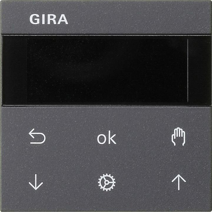 Actual product image Gira Operating attachment anth 536628