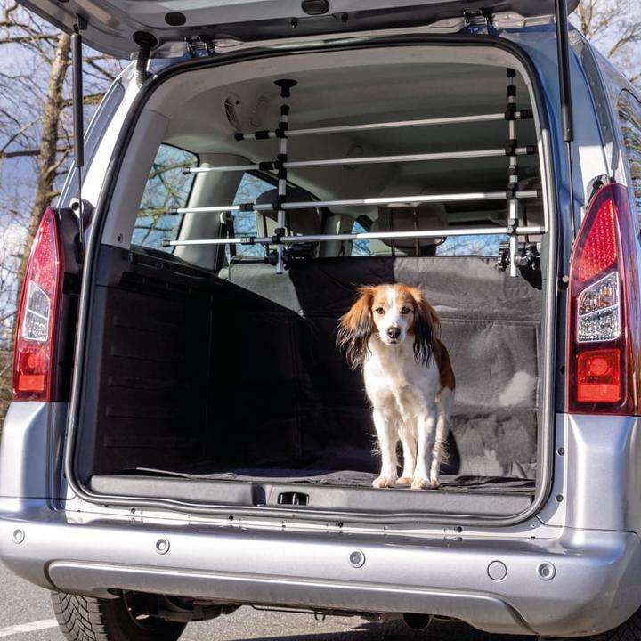 Actual product image Trixie Car grille (Dog, Safety closure)