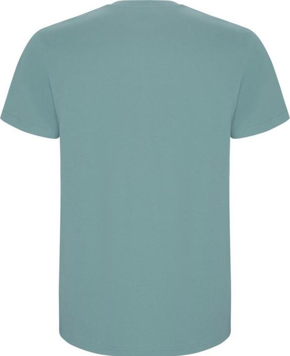 Actual product image Alpinia Mens Stafford T-Shirt (XL)
