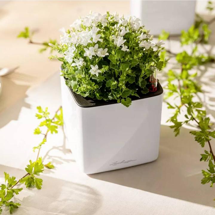 Produktbild Lechuza Cube Glossy 14 (14 cm)