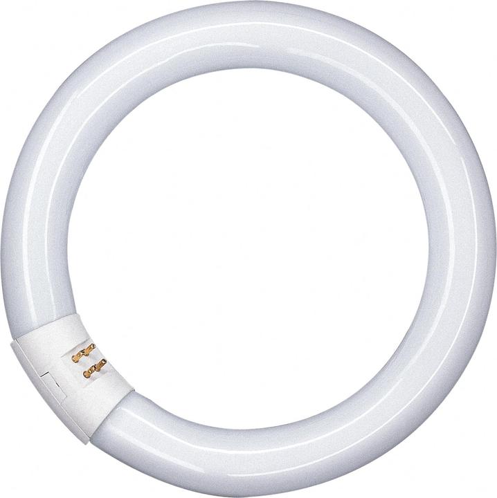 Productafbeelding Osram TL-buis (G10q, 22 W, 1350 lm, 1 x, G)