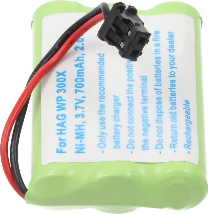 Immagine prodotto hagenuk Batteria WP 300X Batteria BT-589