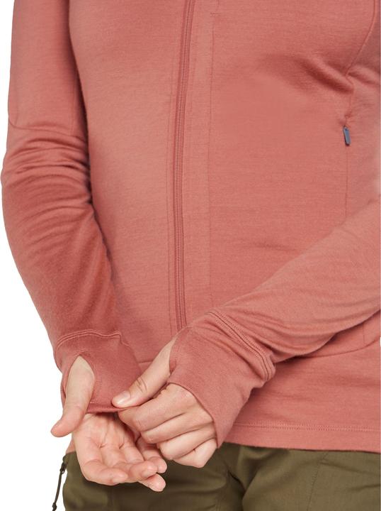 Image du produit Icebreaker Femmes Mérino 260 Quantum IV L/S Sweat à capuche zippé (M)