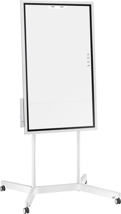 Actual product image Samsung Flip WM55H (3840 x 2160 Pixels, 55")