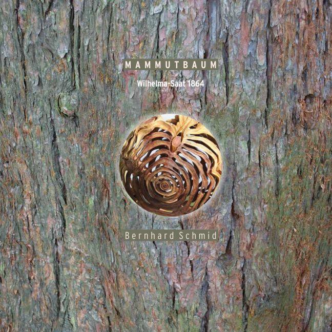 Produktbild Bernhard Schmid:Mammutbaum (Bernhard Schmid, 2014)