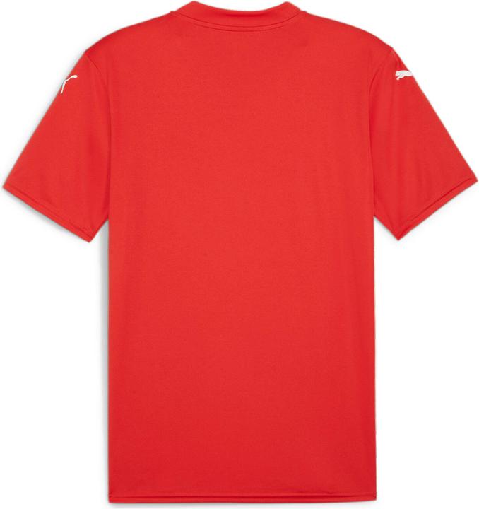 Image du produit Puma teamGLORY Jersey (3XL)