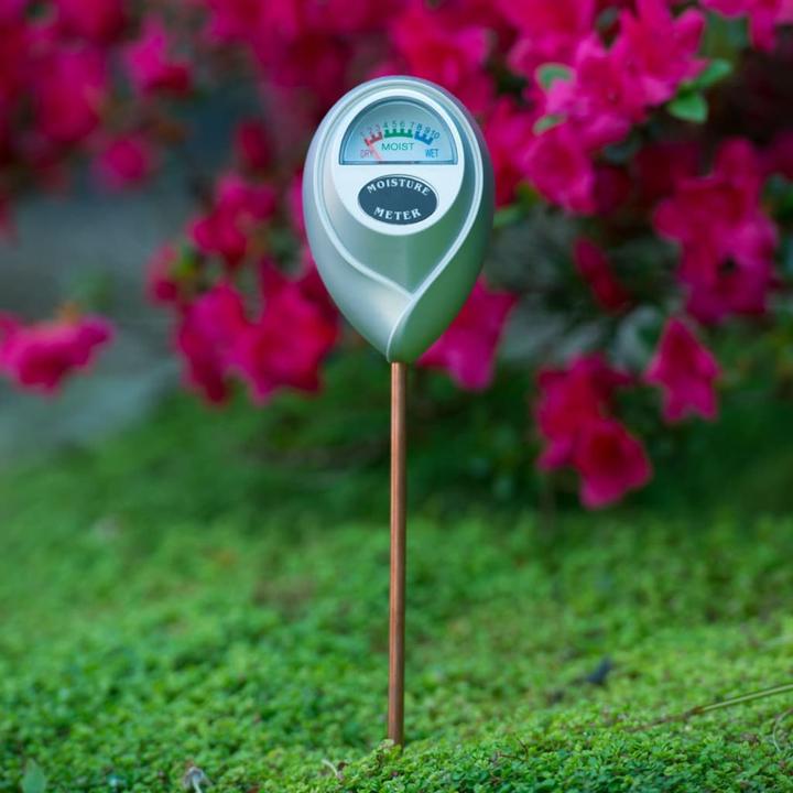 Nature Natur Feuchtigkeitsmesser Grau