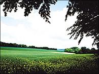 Produktbild Cokin Z121L Verlauffilter grau 2 (ND2) (100 mm, ND- / Graufilter)