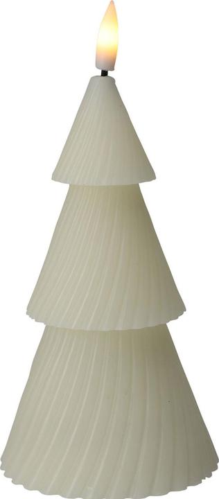 Produktbild LED Echtwachskerze Tanne 11 cr (1 x)