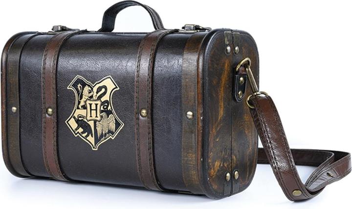 Actual product image Pyramid Harry Potter: Trouble Finds Me