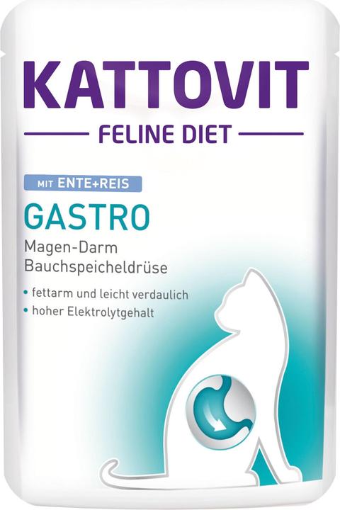 Kattovit Gastro
